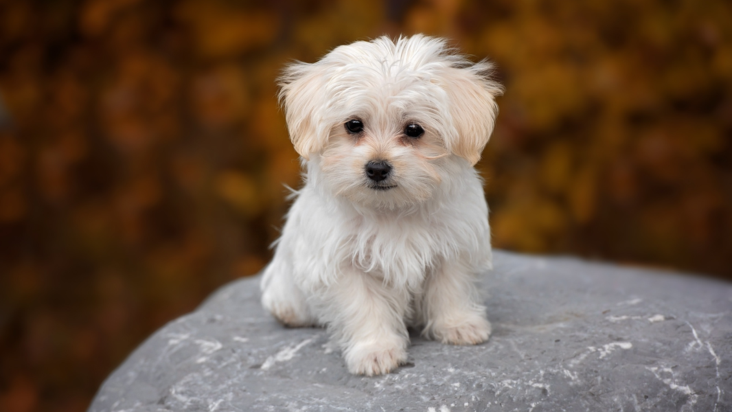 Simple Feeding Resets After Holiday Treats