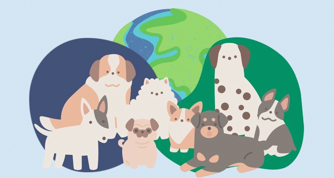 The Future of Dog Food: Why Vegan Is the Way Forward