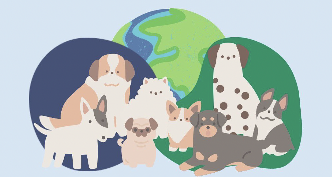 The Future of Dog Food: Why Vegan Is the Way Forward