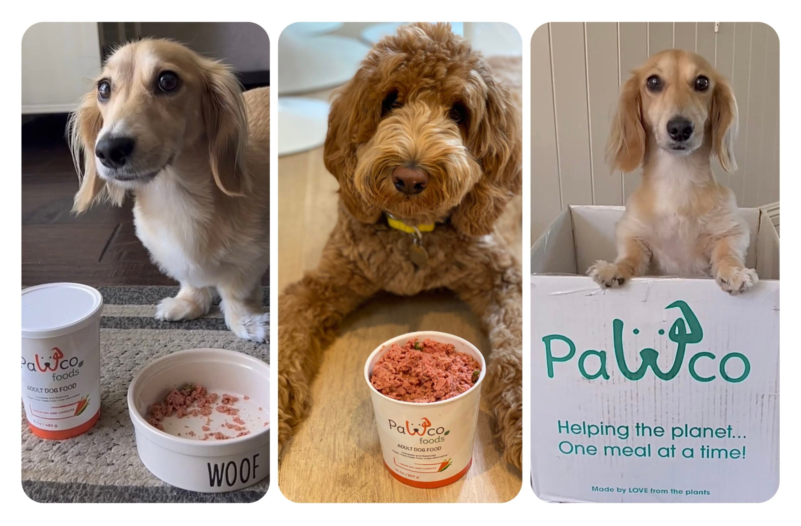 What Is the Best Vegan Dog Food?