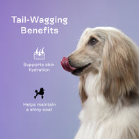 PawCo Magic Topper supports skin hydration and helps maintain a shiny coat