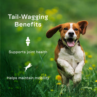 PawCo Magic Cookies supports joint health and helps maintain mobility in dogs