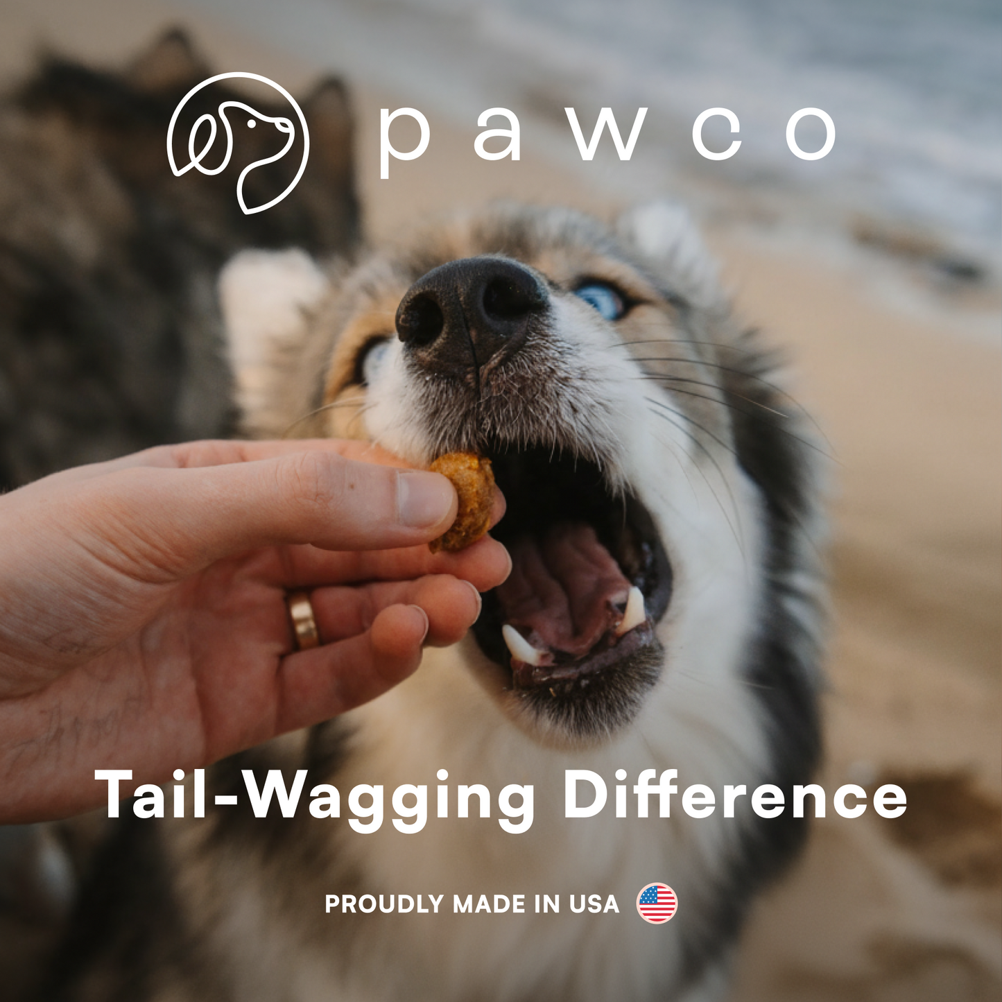 Magic Bar Plus – Hip & Joint – 8-Pack Box