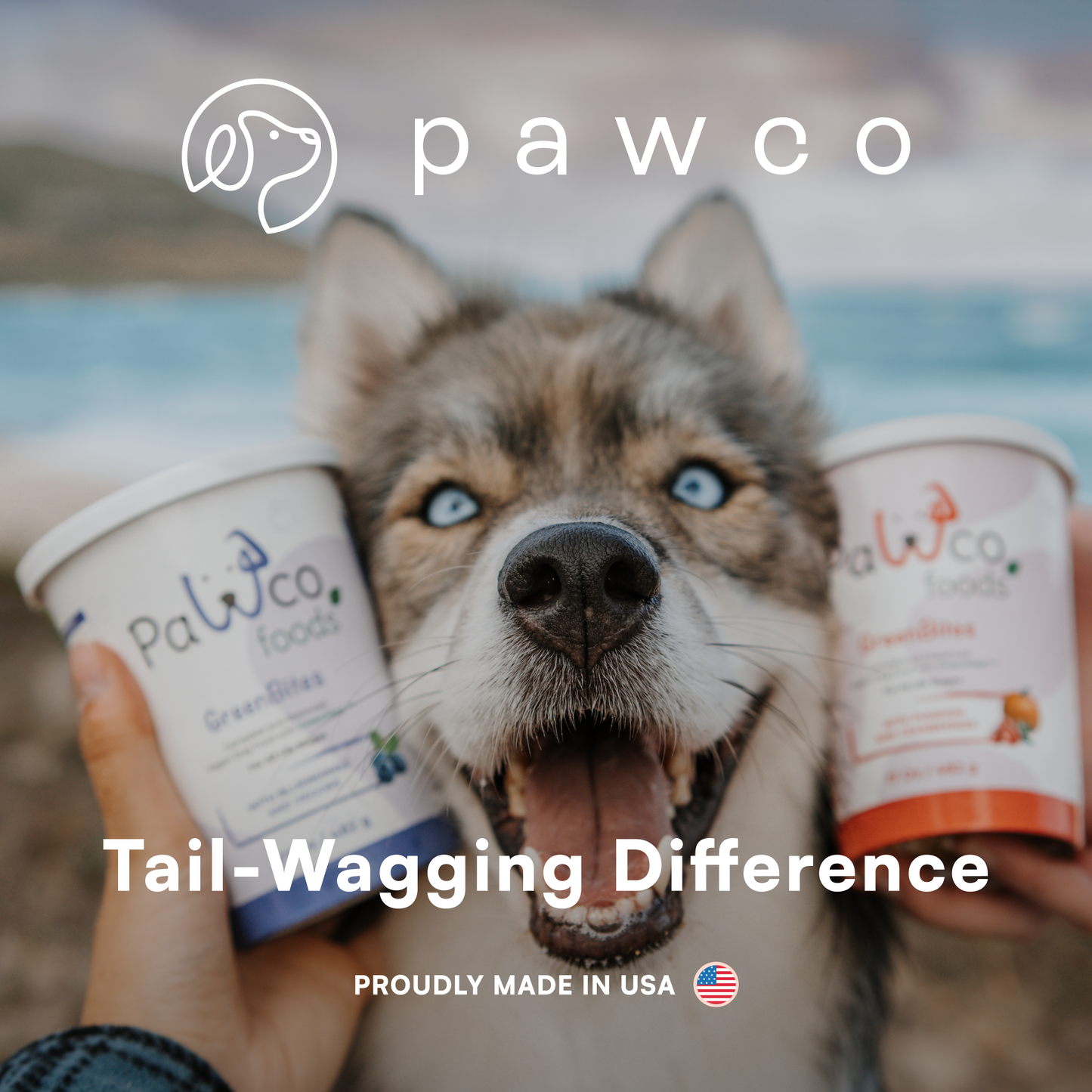 GreenBites – Pumpkin