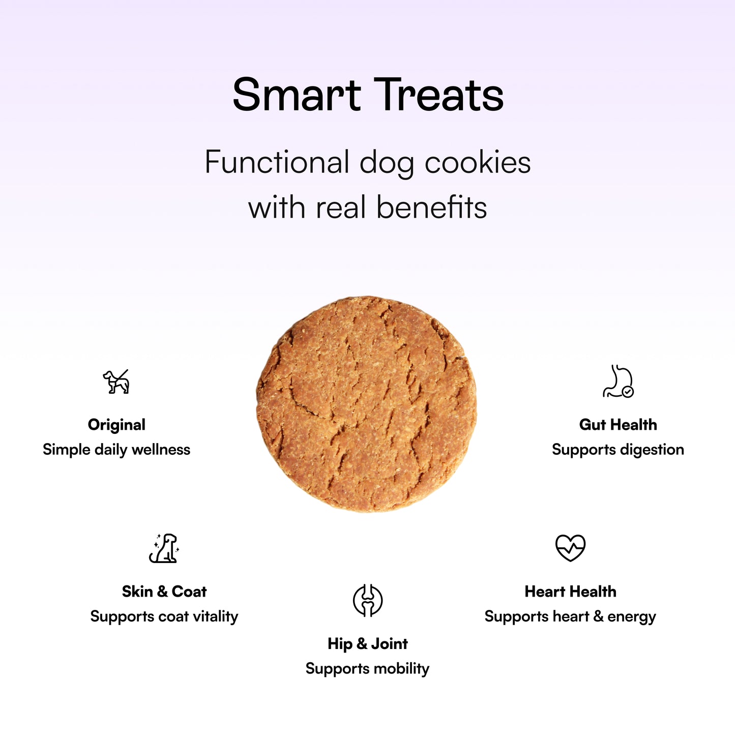 Magic Cookie – Gut Health