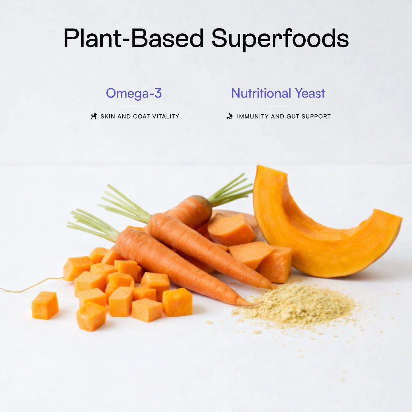 Magic Topper – Skin & Coat