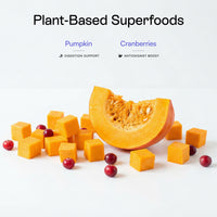 Pumpkin, Cranberries, and other mixed plant-based superfoods in PawCo GreenBites Pumpkin fresh dog food support digestion, and supplement antioxidants