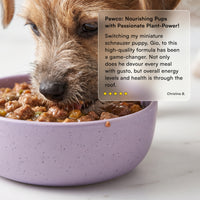Dog eating PawCo InstaBites from a bowl — 5-star verified customer review