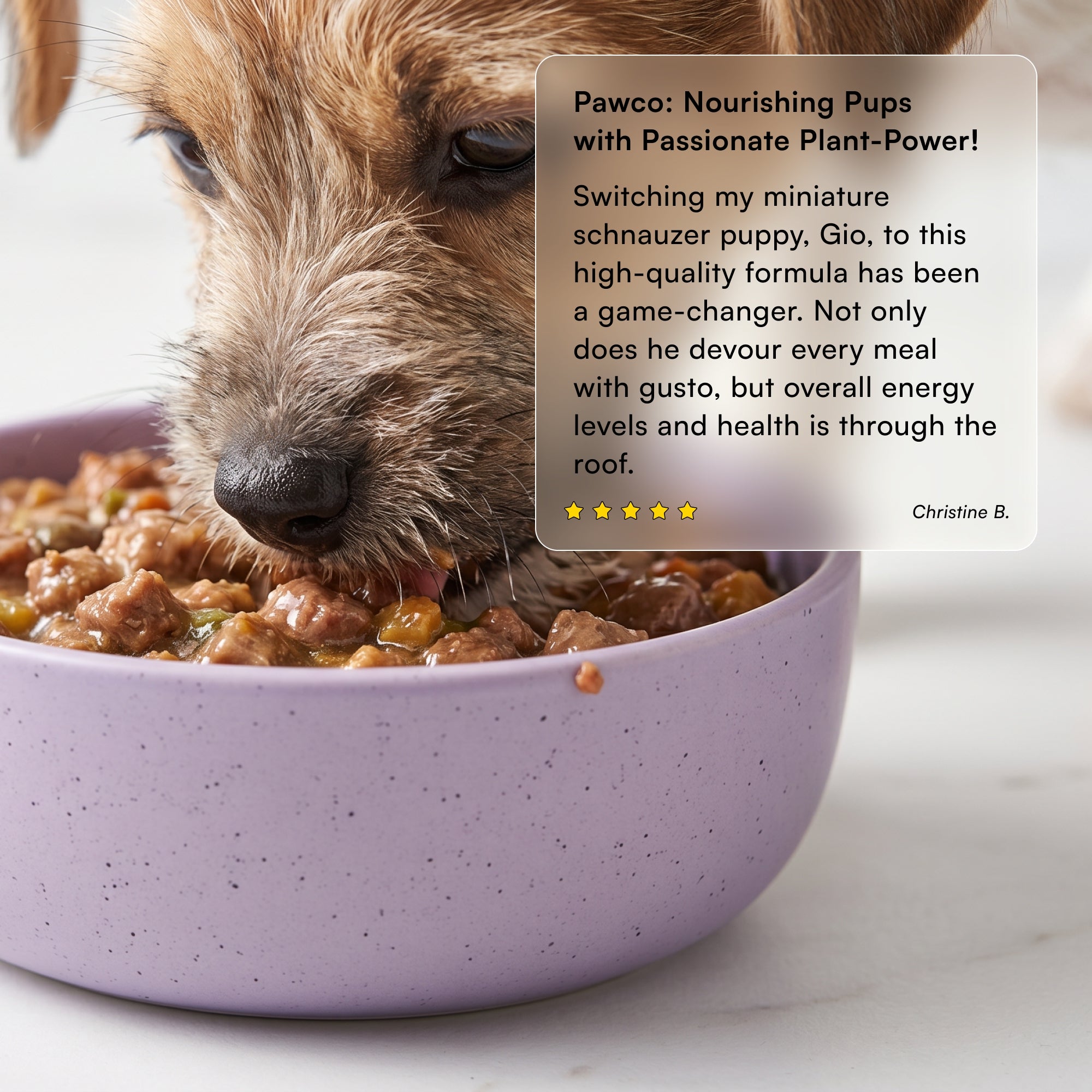 Dog eating PawCo InstaBites from a bowl — 5-star verified customer review