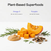 Omega-3s and pumkin in PawCo Magic Bars supports joint health & mobility, and supplements fiber and vitamins.