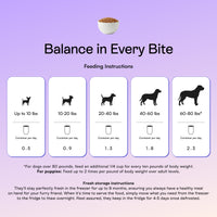 PawCo GreenBites Mixed Veggies fresh dog food feeding guide — 0.5 to 2.3 containers per day based on dog weight