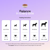 PawCo InstaBites feeding guide — 1/4 to 2 3/4 cups per day based on dog weight, with puppy and large dog guidance