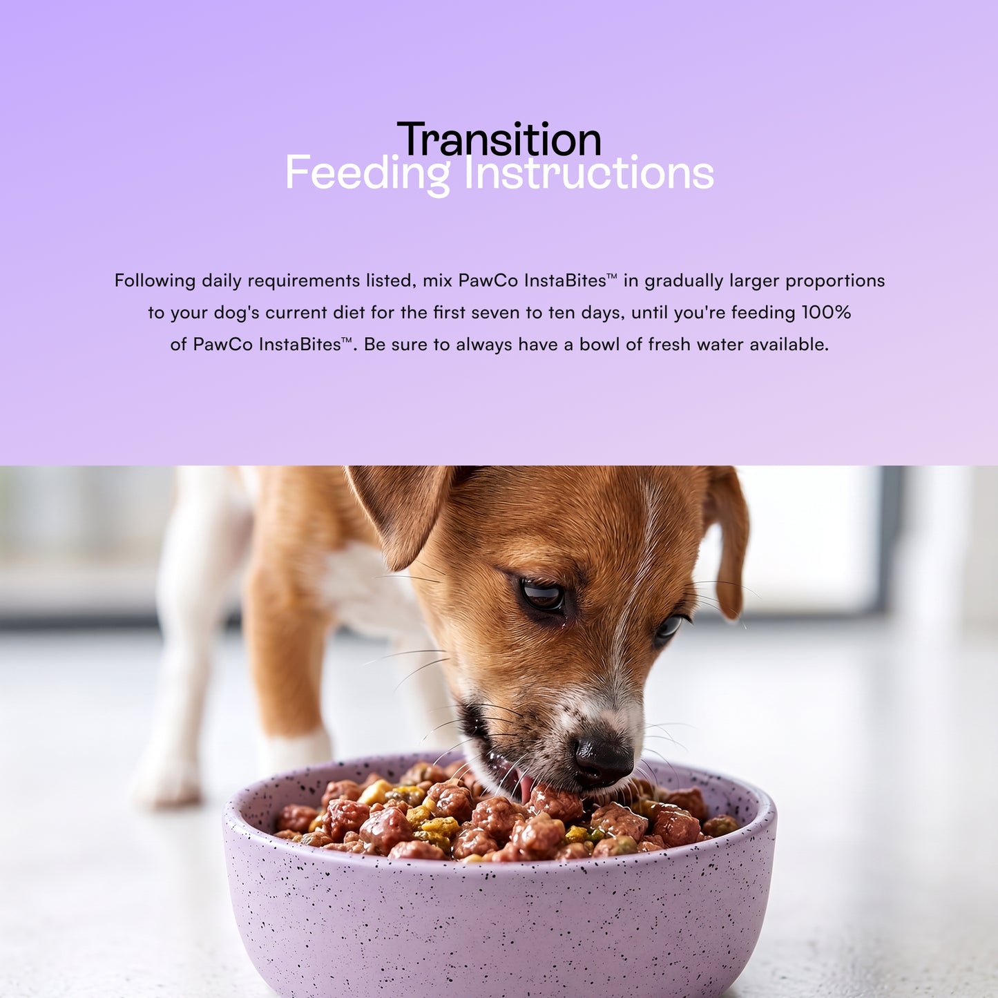 PawCo InstaBites transition feeding guide — gradually mix into current diet over 7 to 10 days; always provide fresh water