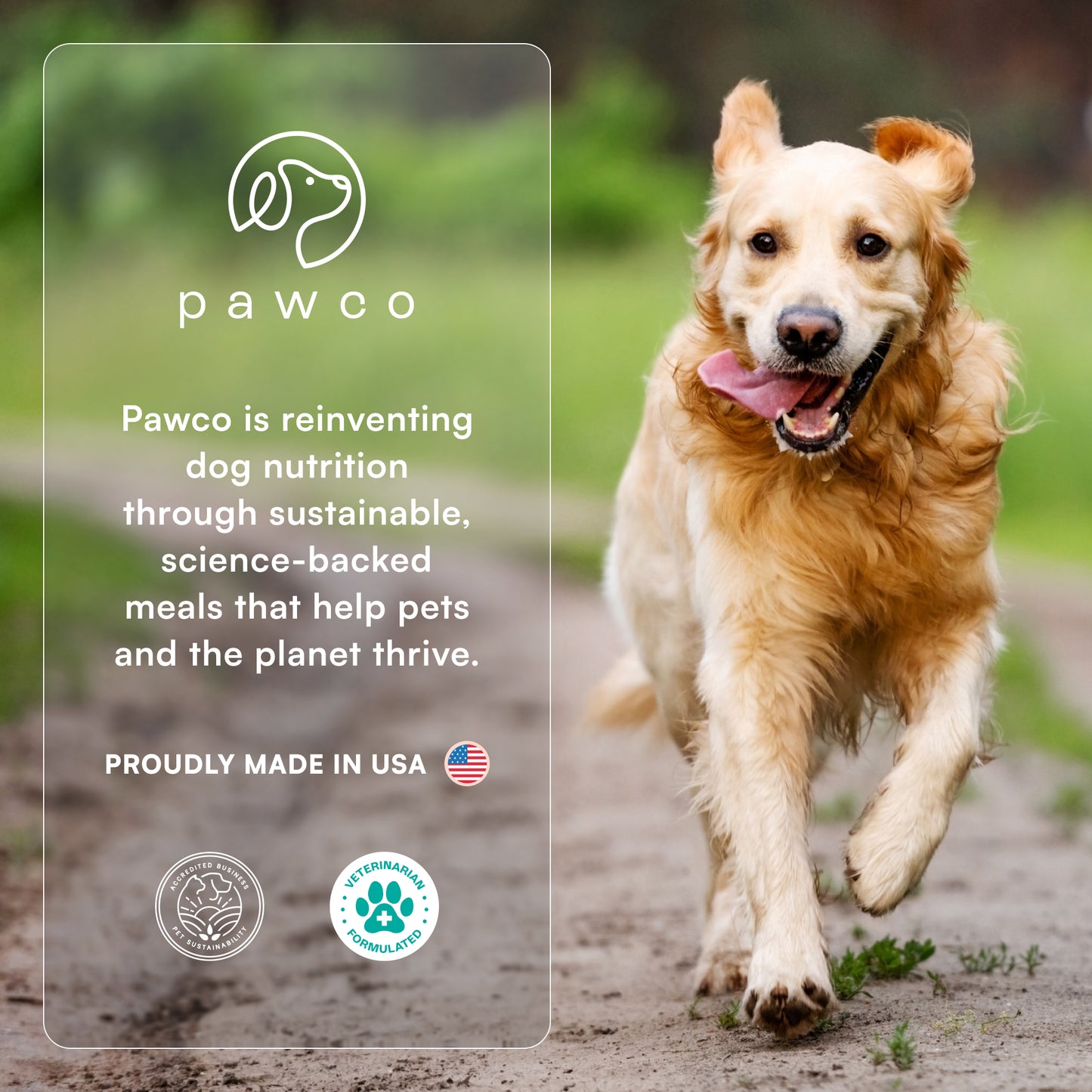 Magic Cookie – Skin & Coat