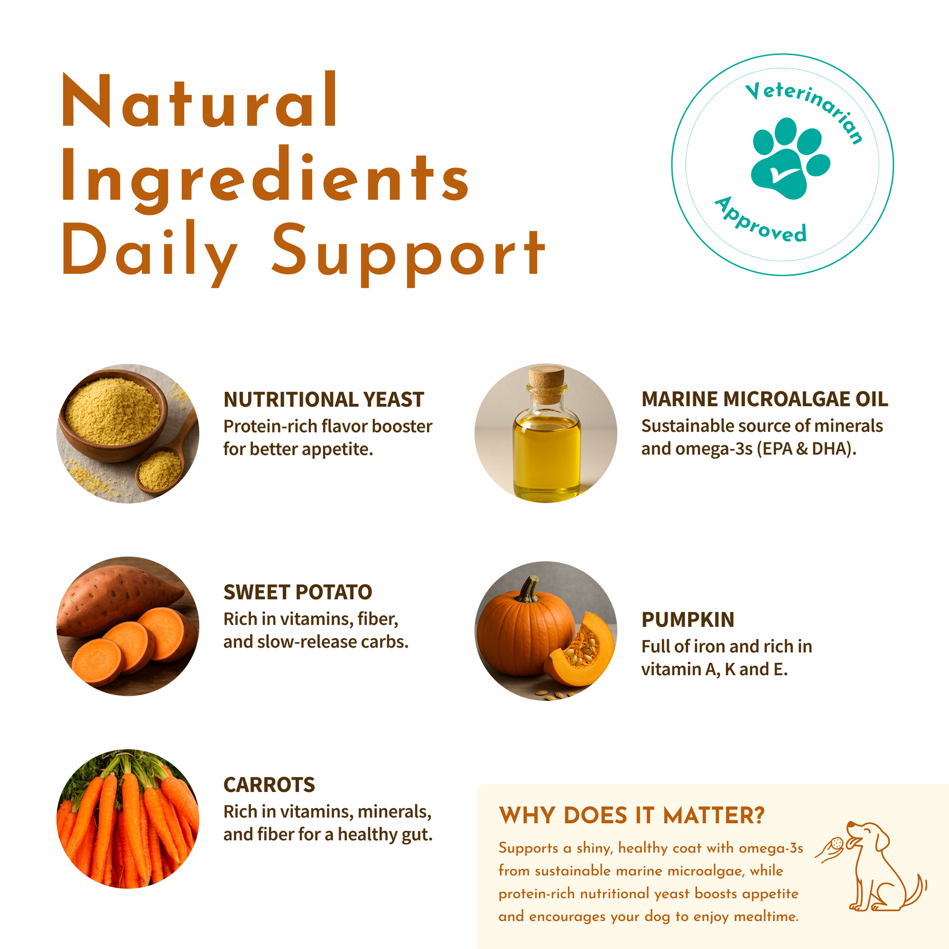 Magic Topper – Skin & Coat