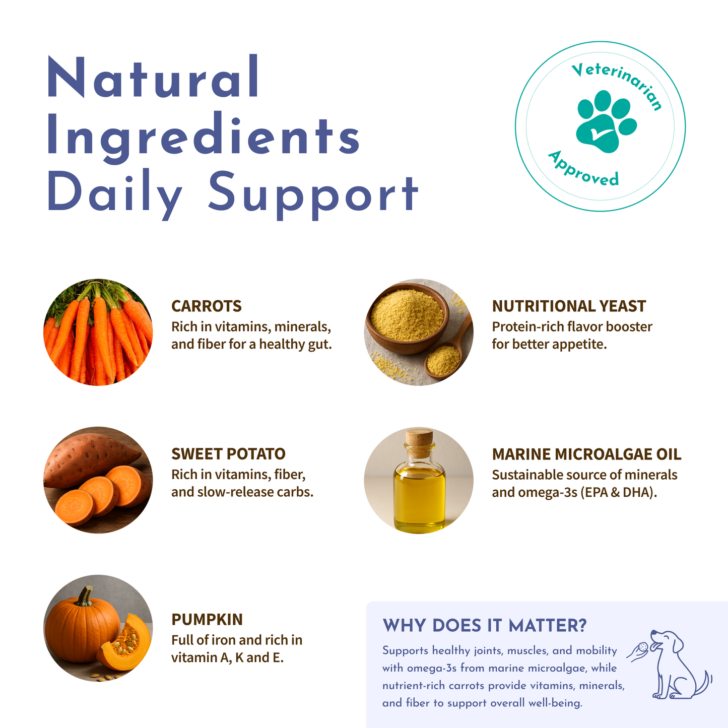 Magic Topper – Hip & Joint