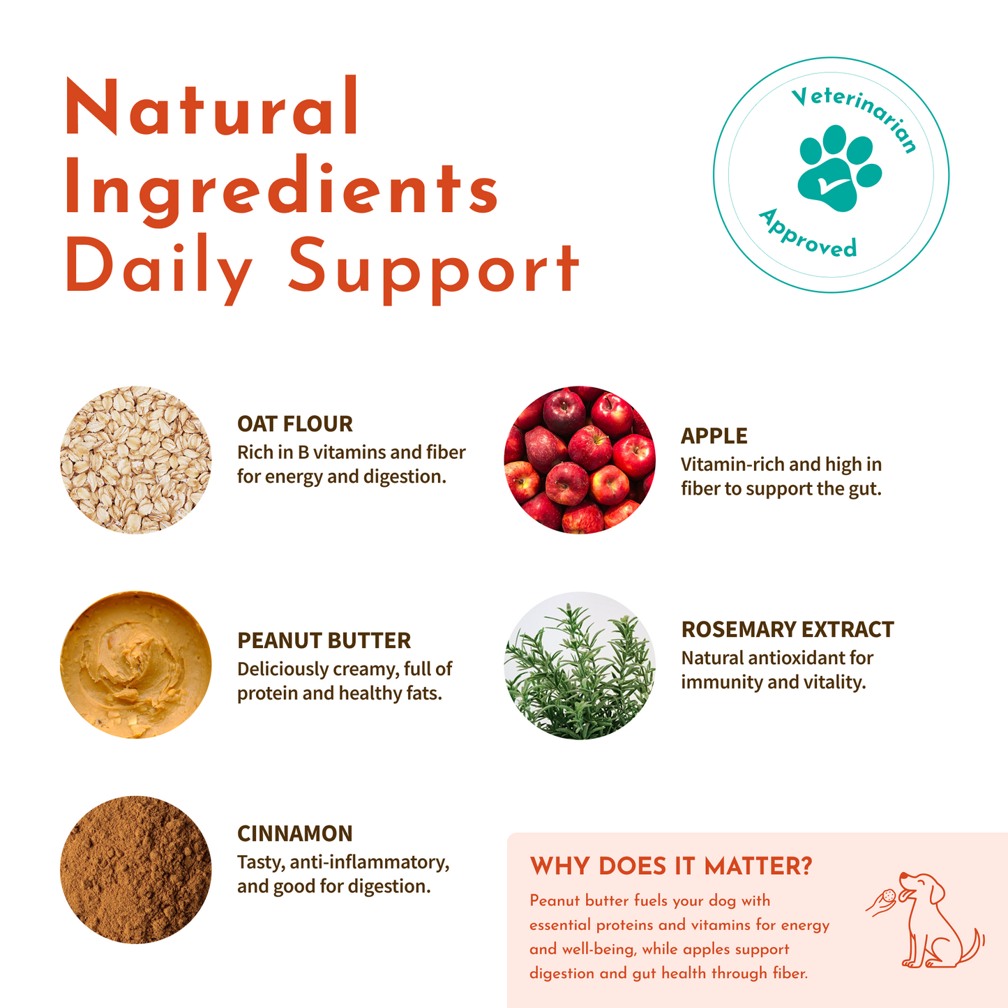 Magic Cookie – Original