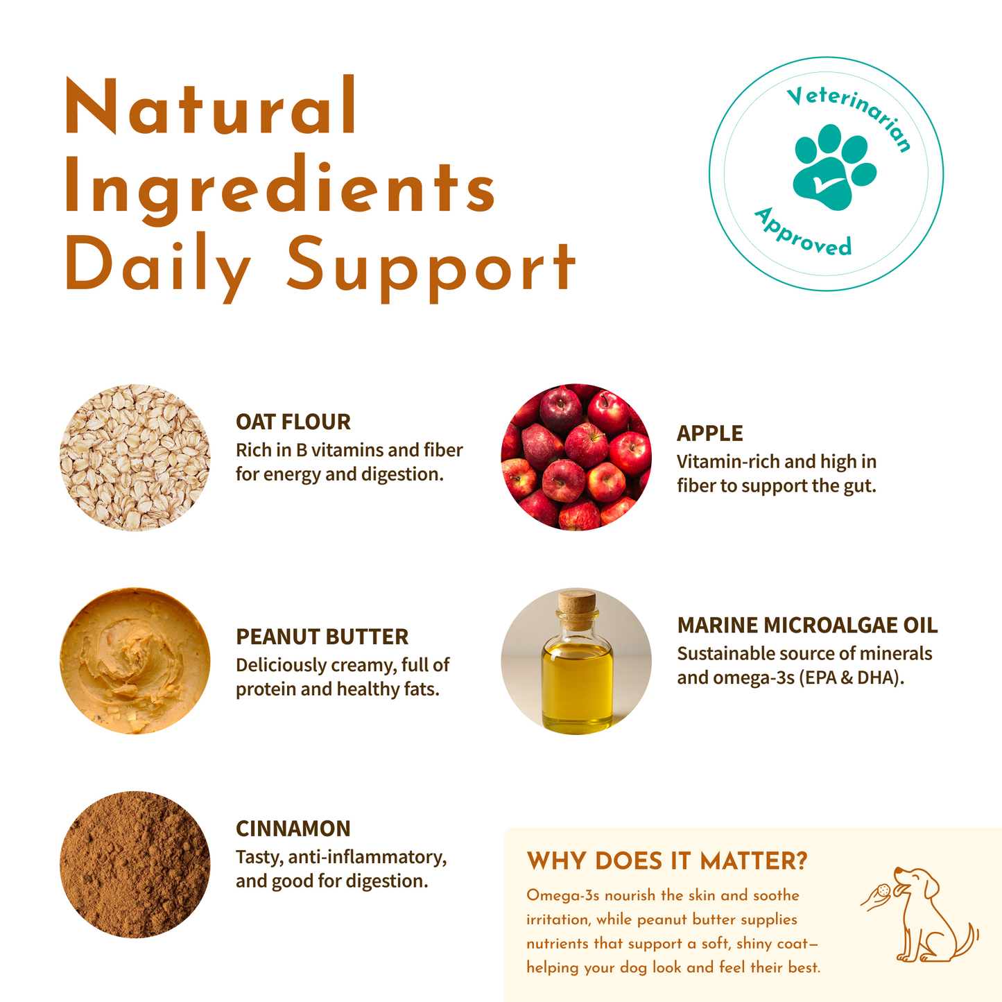 Magic Cookie – Skin & Coat