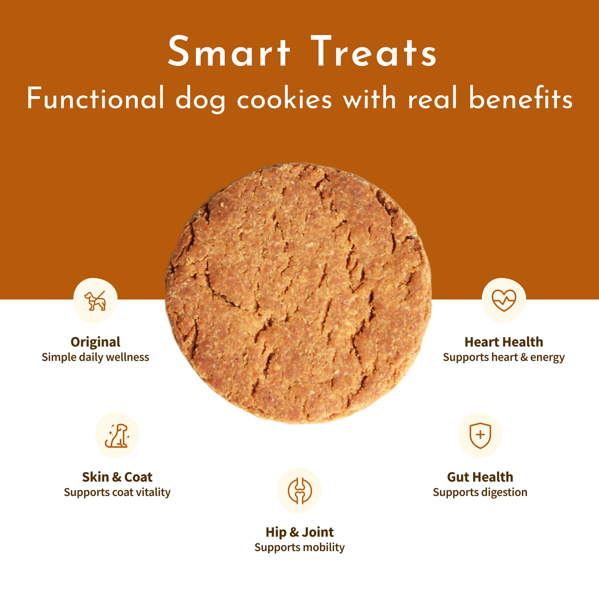 Magic Cookie – Skin & Coat