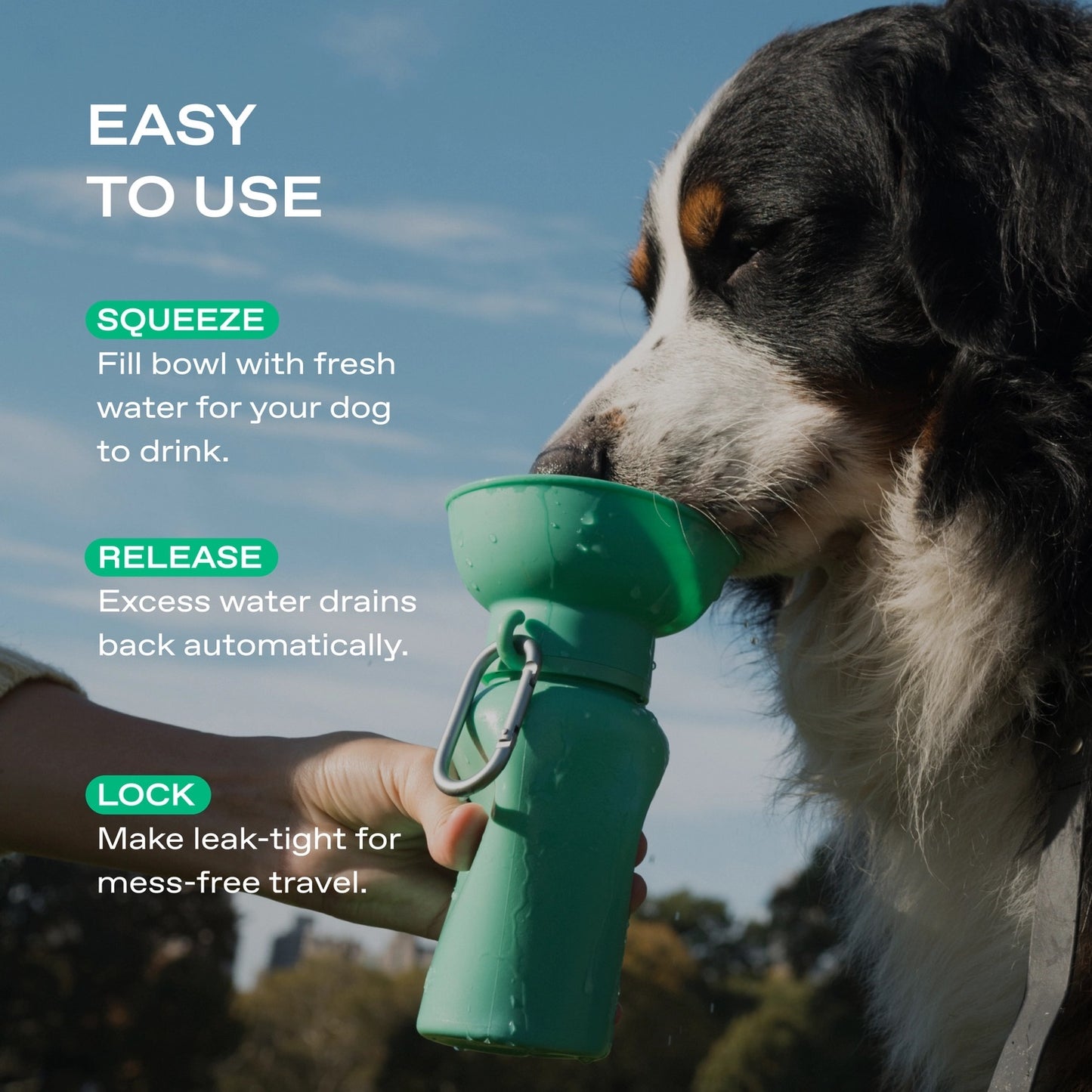 Dog Travel Water Bottle - 20oz Flip Bowl