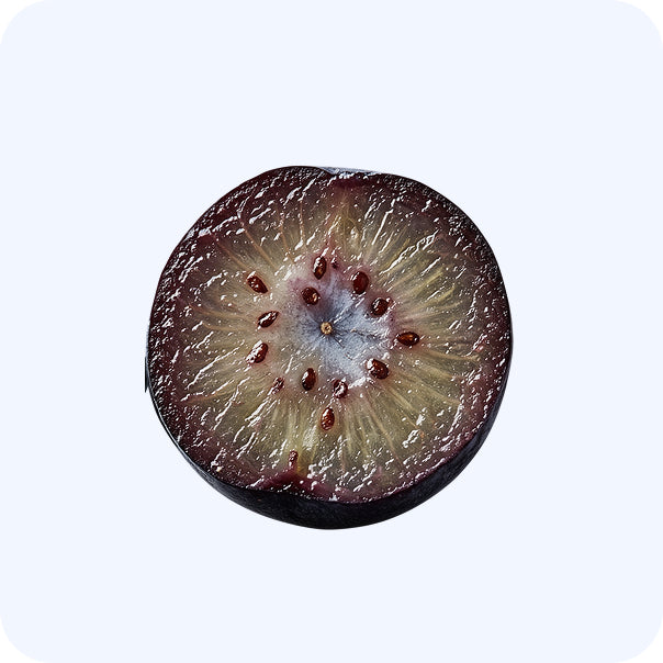 PawCo Foods key product ingredient blueberries