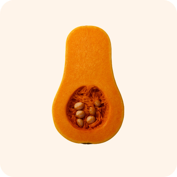PawCo Foods key product ingredient butternut squash