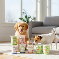 PawCo Fresh Bites Variety Box – two dogs in living room, Labrador paw on package and Russell Terrier interacting with box 