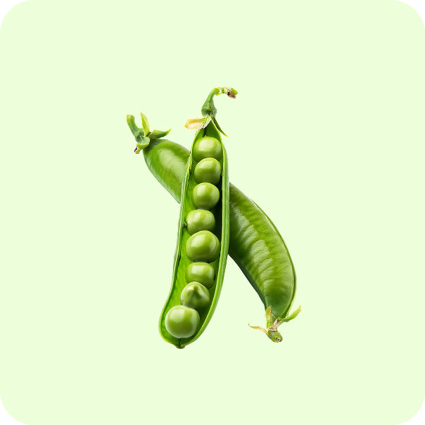 PawCo Foods key product ingredient peas