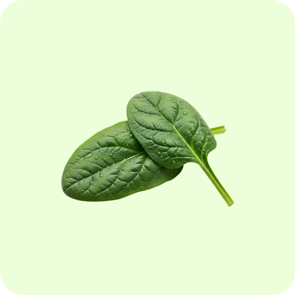 PawCo Foods key product ingredient spinach